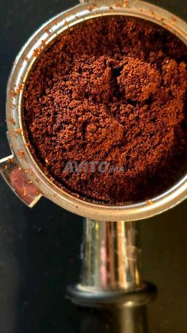 Gens de Laayoune, le café raffiné est arrivé ☕ - 2