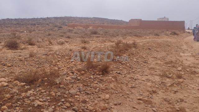 أرض كبيرة للبيع ميرلفت قرب البحر - 2