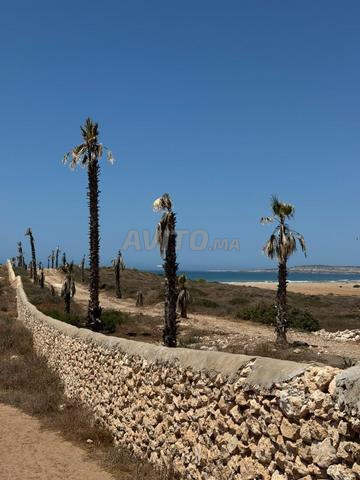 Terrain 4,9Ha à Sidi Kaouki Vue Mer Projet touris.