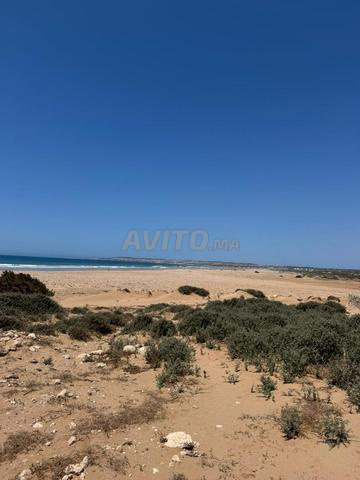 Terrain 4,9Ha à Sidi Kaouki Vue Mer Projet touris. - 2
