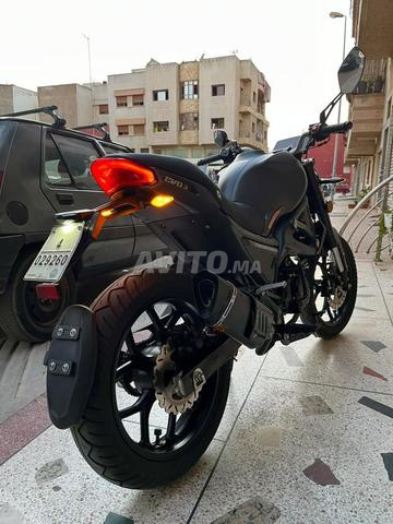 Cimatti Monster Evo3 900km - 2