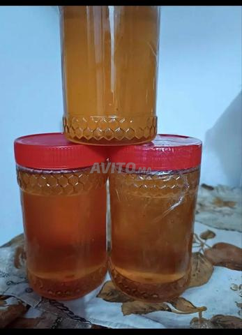 طنجة بوخالف - 2