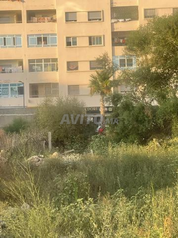 كزناية طنجة