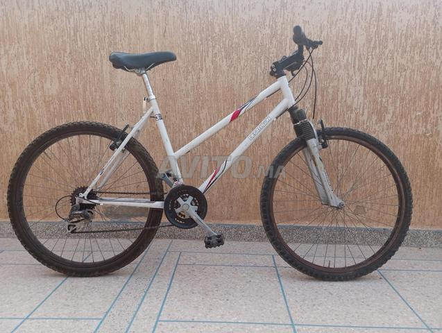 Vélo