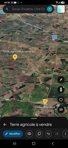 2.3 Hectares à vendre dans la commune de Jkema