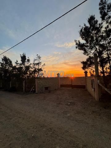 Hectare à vendre | El Manik Had Soualem - 2