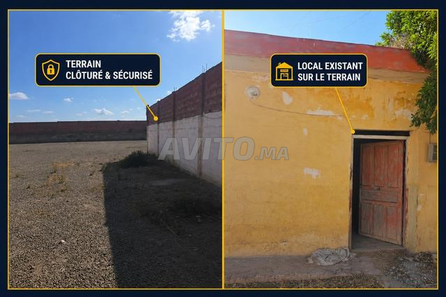 Terrain industriel 6000 m² – Jorf Lasfar - 2