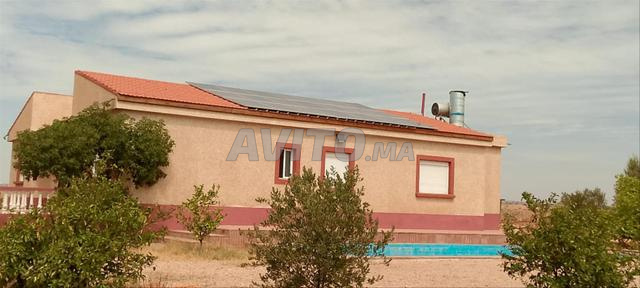 Maison d'exception avec terrain et 400 oliviers - 2