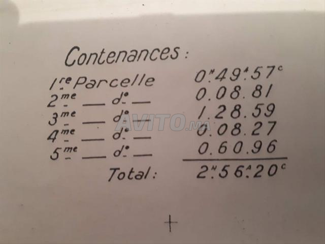 Parcelle agricole 1h et quart - 2