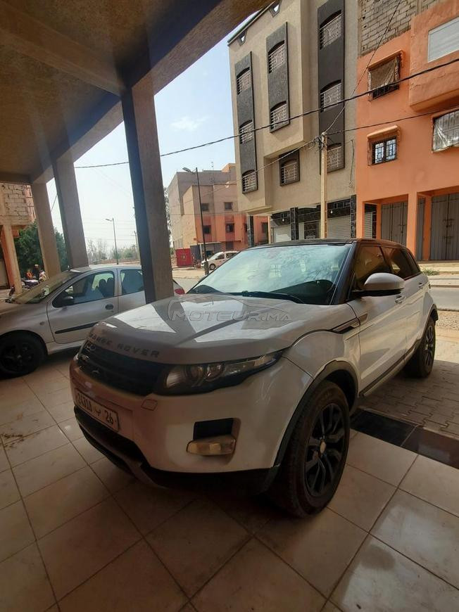  azli  marrakesh