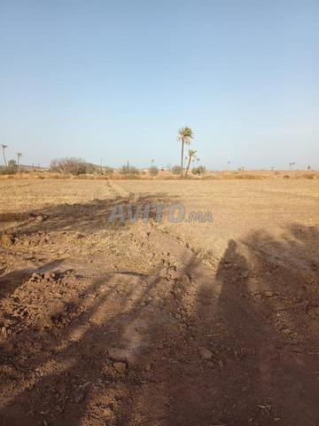TERRAIN À VENDRE – ROUTE DE FÈS