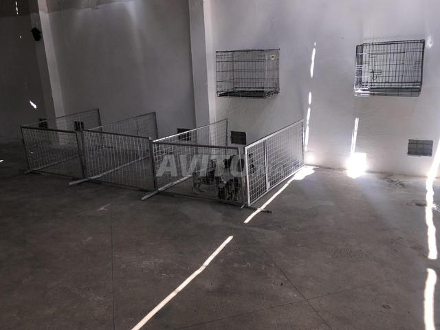 Enclos & cage élevage ou jardin animaux domestique - 2