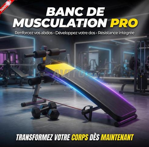Banc de Musculation Abdominal - Cordes et Poids - 2