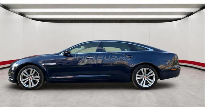 jaguar xjl 2014 edition speciale a voir sur anfa