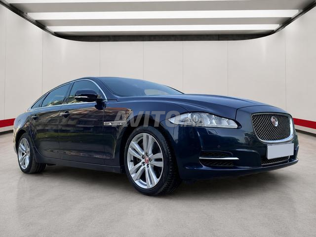 Jaguar XJL 2014 édition spéciale à voir sur Anfa