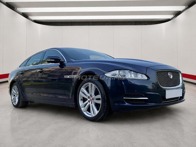 jaguar xjl 2014 edition speciale a voir sur anfa