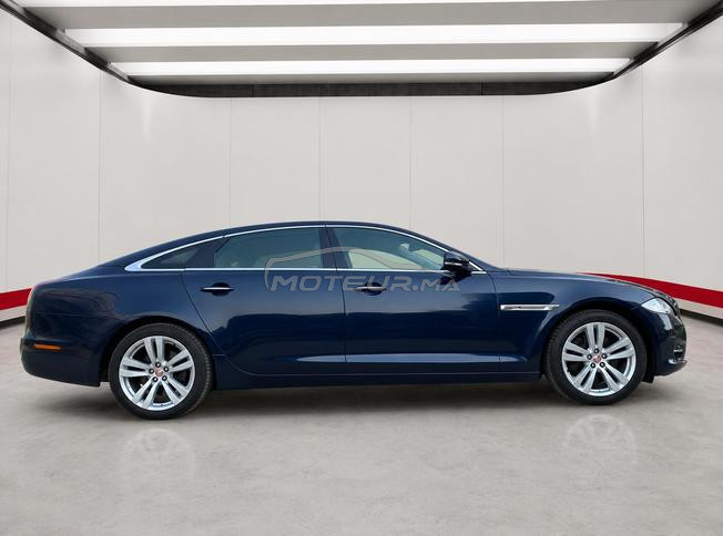 jaguar xjl 2014 edition speciale a voir sur anfa