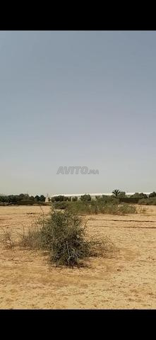 Terrain 4 hectares Tetsi 37km Taroudant