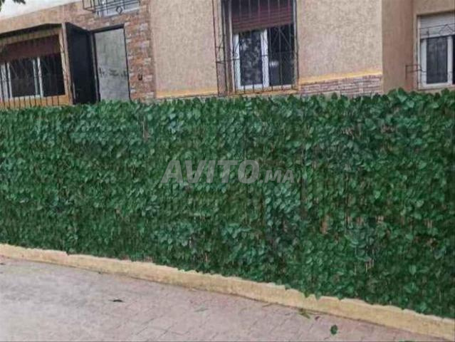 سياج نباتي مع خدمة توصيل مجانية - 2