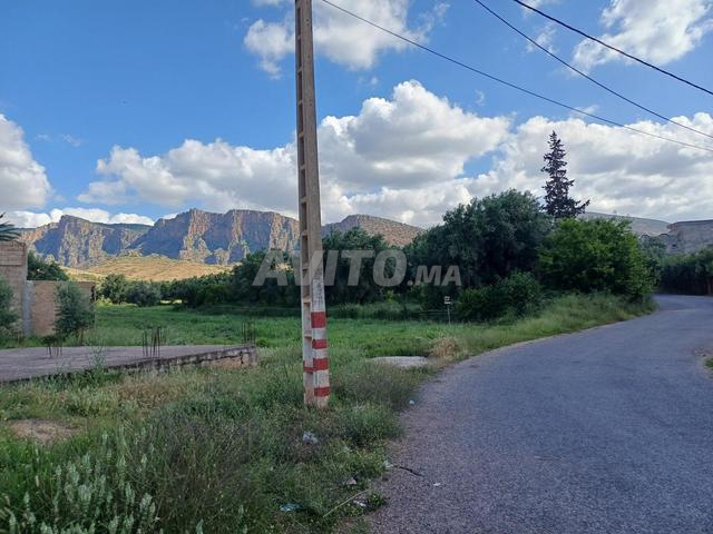 🌿 Magnifique terrain de 5000m² à vendre - 2