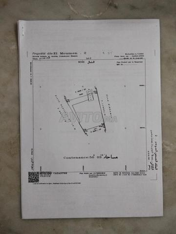 Un terrain à vendre - 2