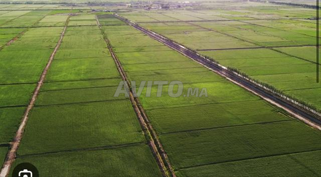 Terrain agricole équipé à vendre