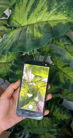 iPhone 13 normal jamais ouvert - 2