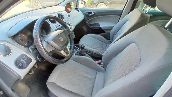 Voiture Ibiza 2010