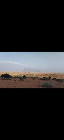 8 hectares titrés à Aït Ouflla (AÏT OUFLA) - 2