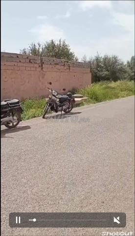 279 متر بجانب الطريق المعبدة - 2