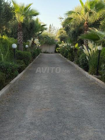 Domaine des Oliviers | Piscine privée & Oliveraie