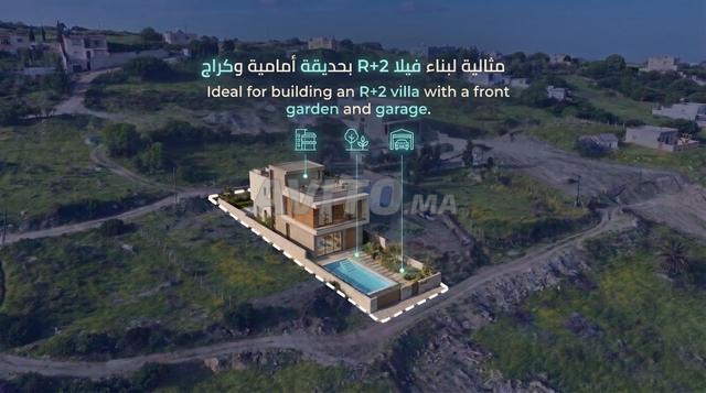Terrain titré 440 m² vue mer - Ain Zaitoune Tanger - 2