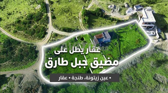 أرض محفظة 440 م² إطلالة بحرية - عين الزيتونة طنجة