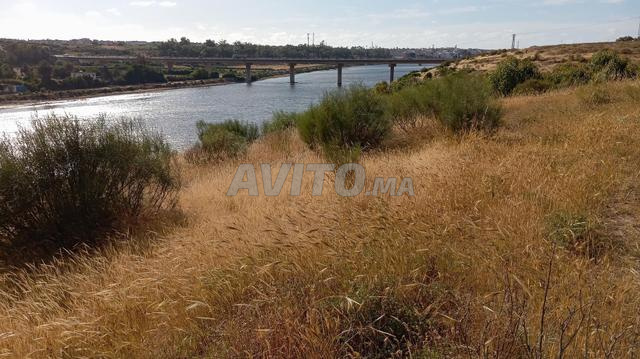 Terrain agricole titré exceptionnel sur la rive de l'Oued Oum Errabia