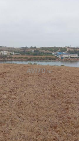 Terrain agricole titré exceptionnel sur la rive de l'Oued Oum Errabia - 2