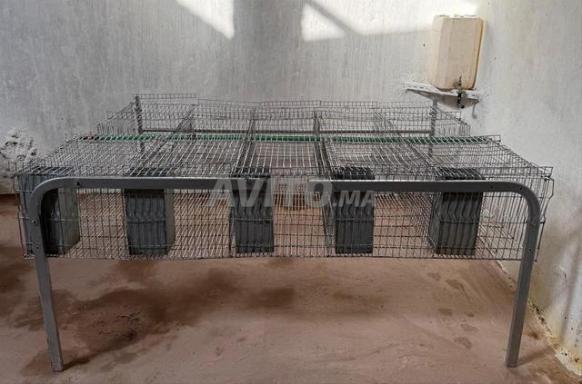 Cages d'occasion pour engraissement lapins - 2