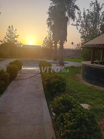 Ferme titrée à 15 mn oujda - 2
