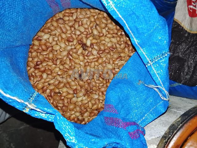 Grains d'argan exfoliants prix 20DH/1kg