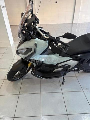 هوندا XADV 2024 - 2