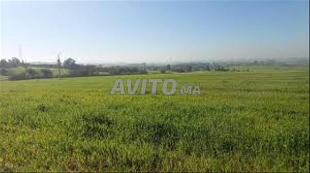 Vente de Terrains & Fermes Titrés – Bir Jdid - 2