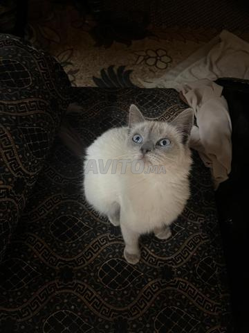 مرحبا مرحبا مرحبا - 2