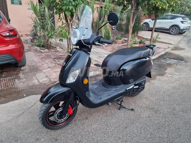Sym Fiddle neuf - 2