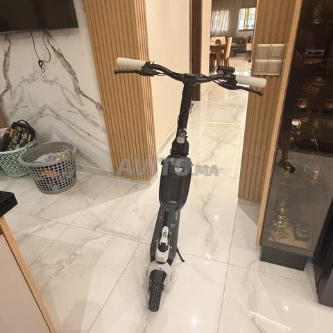 Trottinette électrique Stone by Fauve G1