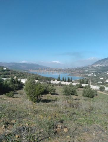 TERRAIN DE 1000M2 BIEN SITUÉ À ZINAT - 2