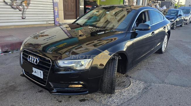 taoufik audi 