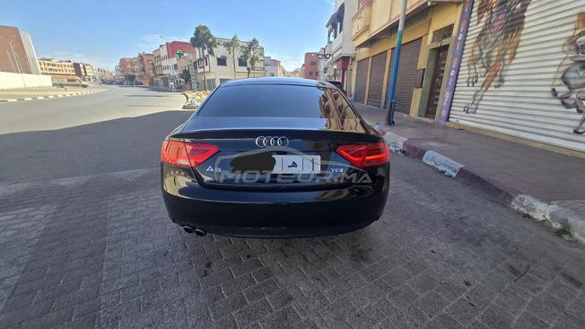 taoufik audi 
