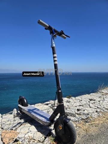 Livraison gratuite - 2