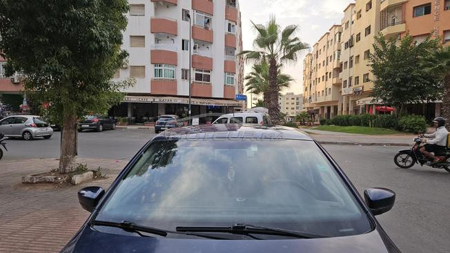 Polo Vento