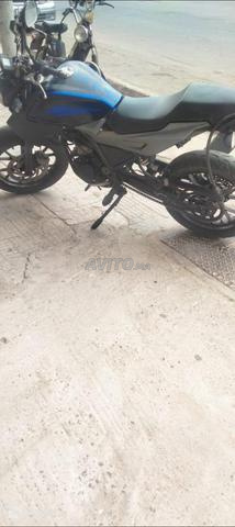 108 Safi quartier matar - 2