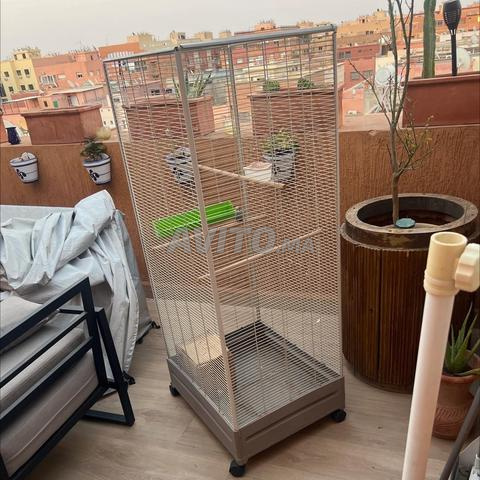 Cage à oiseaux